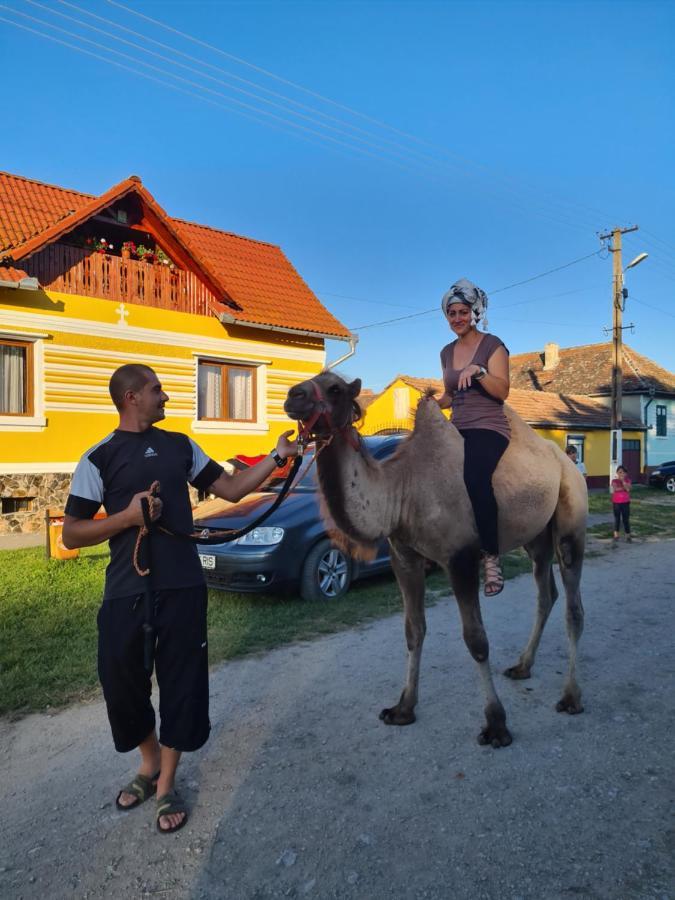 Casa De Vacanta Ziazian - Barcut Appartamento Esterno foto