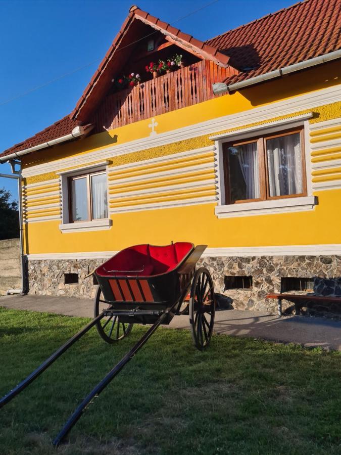 Casa De Vacanta Ziazian - Barcut Appartamento Esterno foto