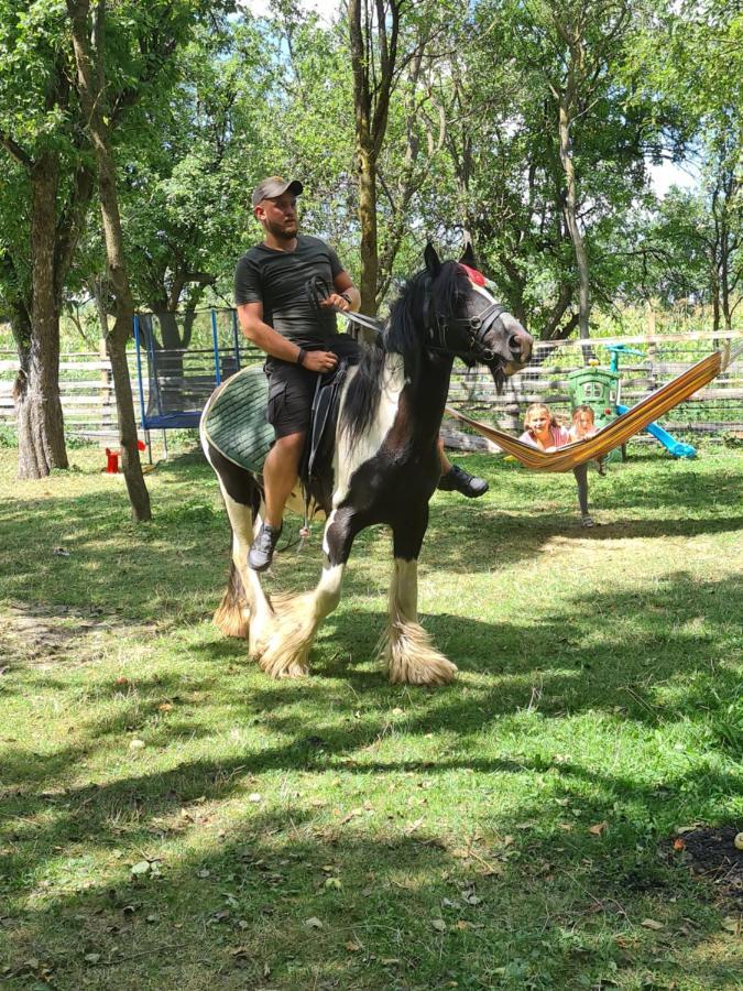 Casa De Vacanta Ziazian - Barcut Appartamento Esterno foto