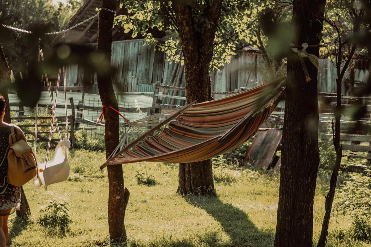 Casa De Vacanta Ziazian - Barcut Appartamento Esterno foto